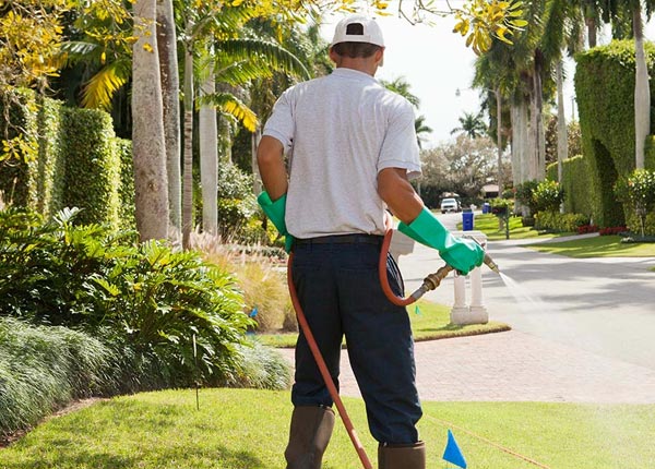 About Croghan NY Pest Control